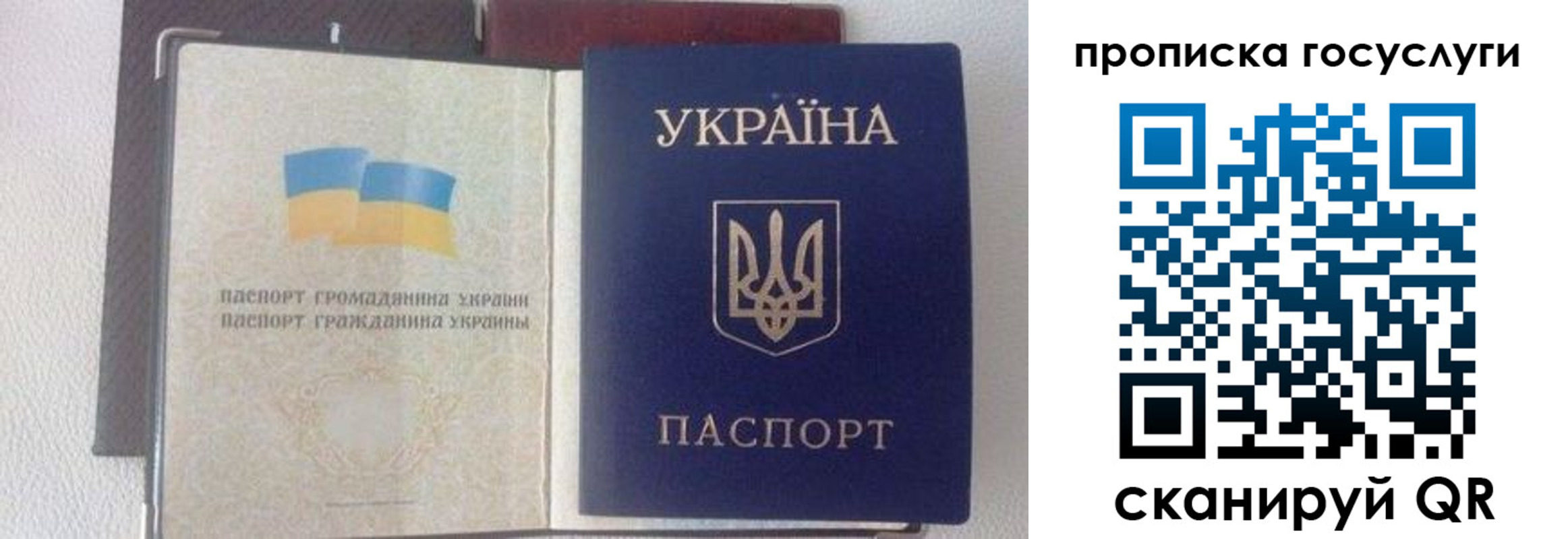 временная регистрация недорого в Находке